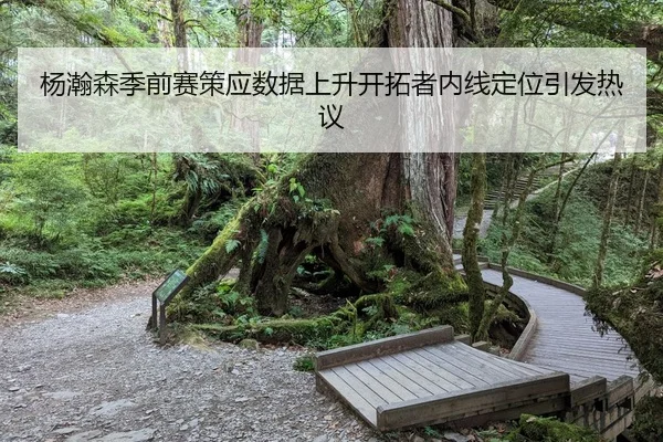 杨瀚森季前赛策应数据上升开拓者内线定位引发热议